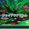ジョイアクアリウム(Joyquarium)