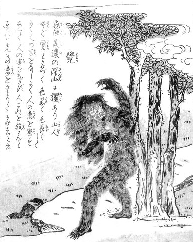 さとり（覚）